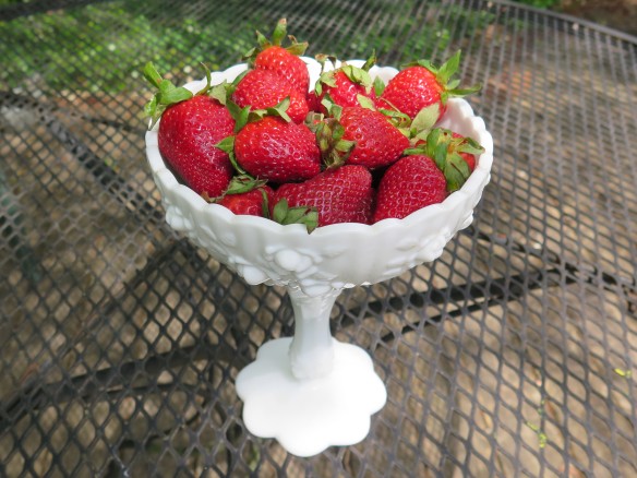 strawberries - 1 - IMG_4095_1
