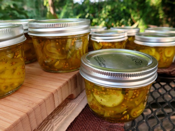DIY Project: Let’s Make Homemade Pickles