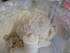 kneading dough in food processor - IMG_5014_1