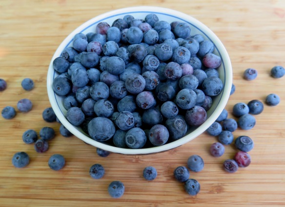 Ripe Garden Blueberries - IMG_9271
